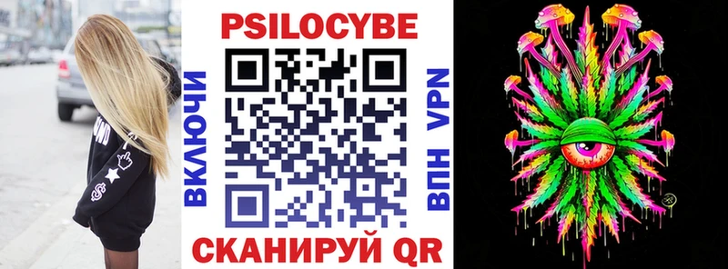где купить наркоту  omg зеркало  Псилоцибиновые грибы Psilocybe  Злынка 